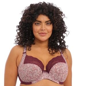 Elomi Lucie Plunge Underwire Bra Leopard with Burgundy Lace EL4490WIG US 36L